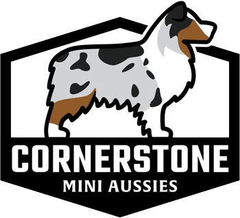 Cornerstone Mini Aussies Logo Cornerstone Mini Aussies Logo